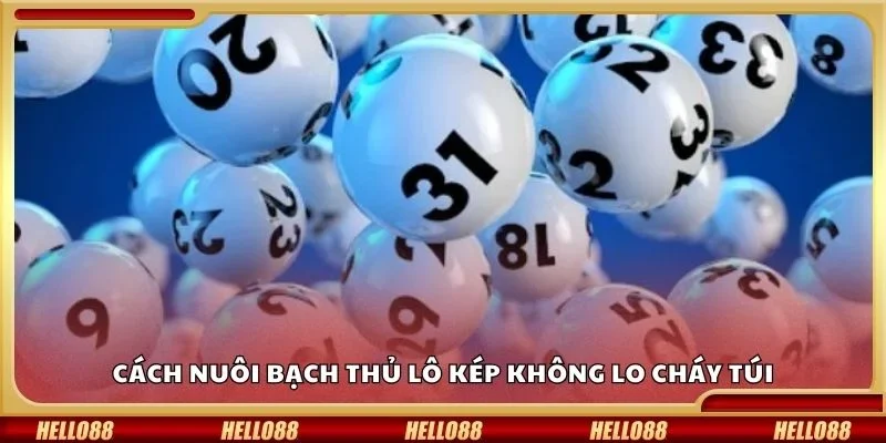 Cách nuôi bạch thủ lô kép không lo cháy túi