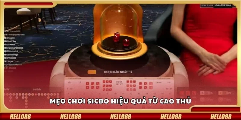 Mẹo chơi Sicbo hiệu quả từ cao thủ