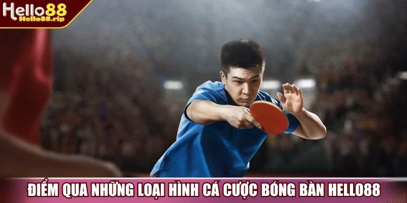 Điểm qua những loại hình cá cược bóng bàn Hello88