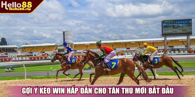 Gợi ý kèo Win hấp dẫn cho tân thủ mới bắt đầu