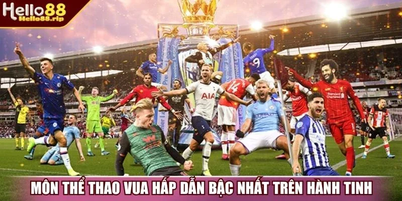 Môn thể thao vua hấp dẫn bậc nhất trên hành tinh