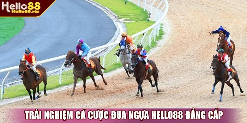 Trải nghiệm cá cược đua ngựa Hello88 đẳng cấp