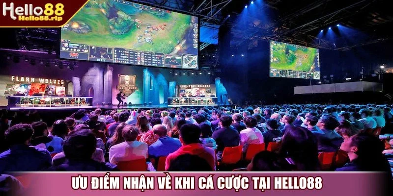 Ưu điểm nhận về khi cá cược tại Hello88 